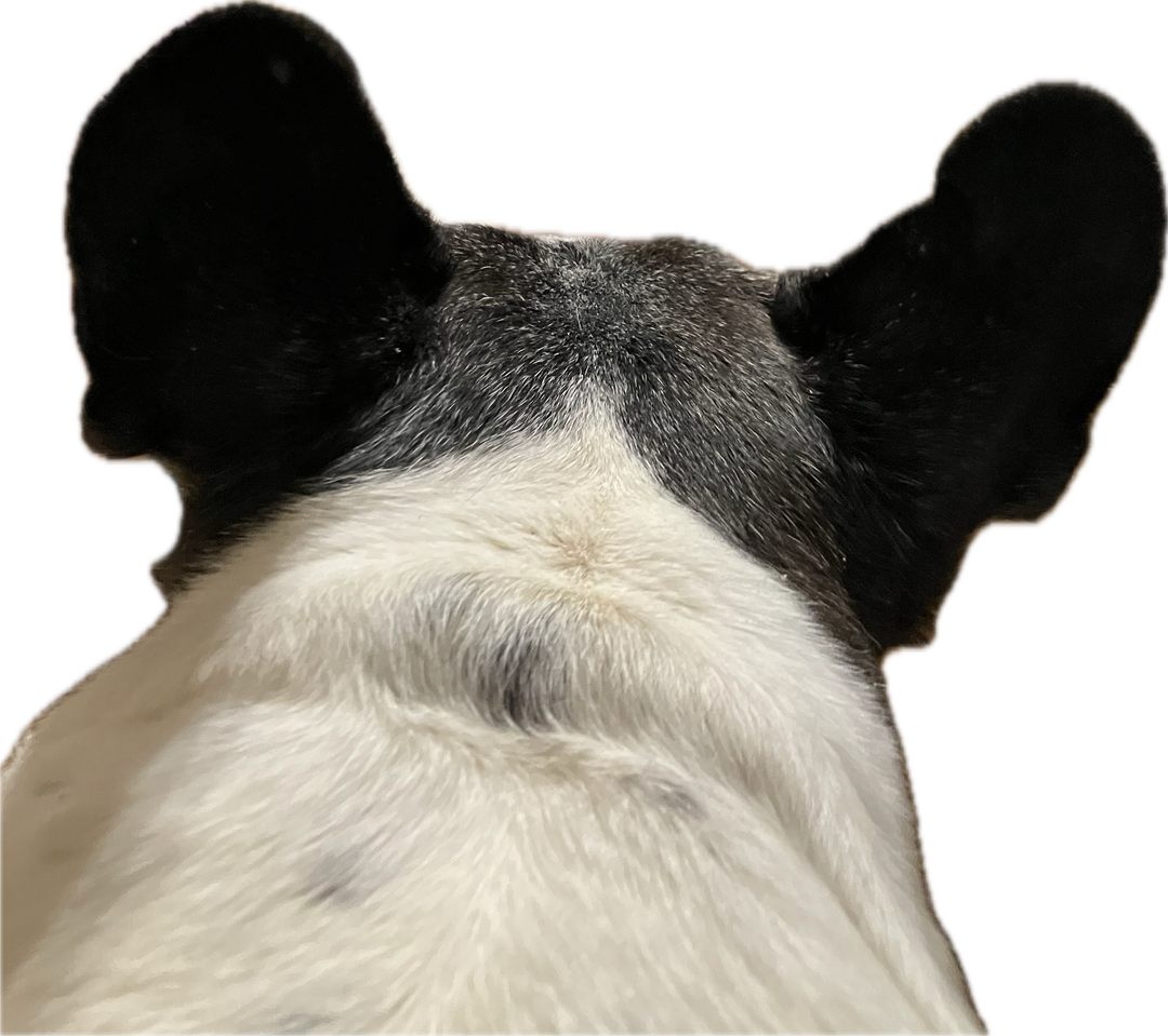 Fernak